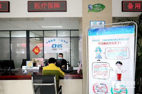 龍泉街道服務中心 午間不斷檔、全年不打烊，檔案整理服務貼心直達群眾心坎